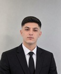 Əli Yalçın Məmmədov